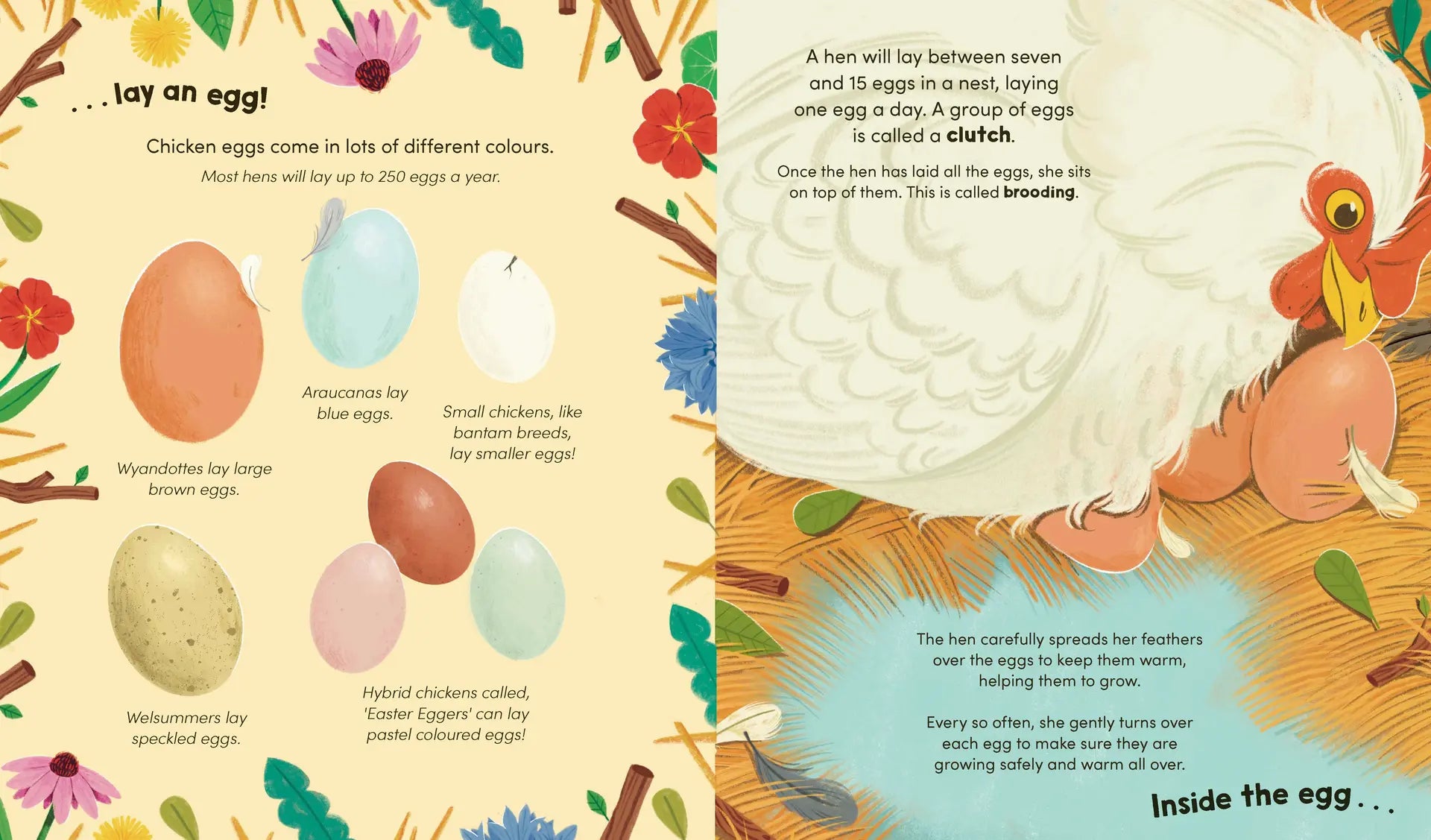 Watch Me Grow: Chickens