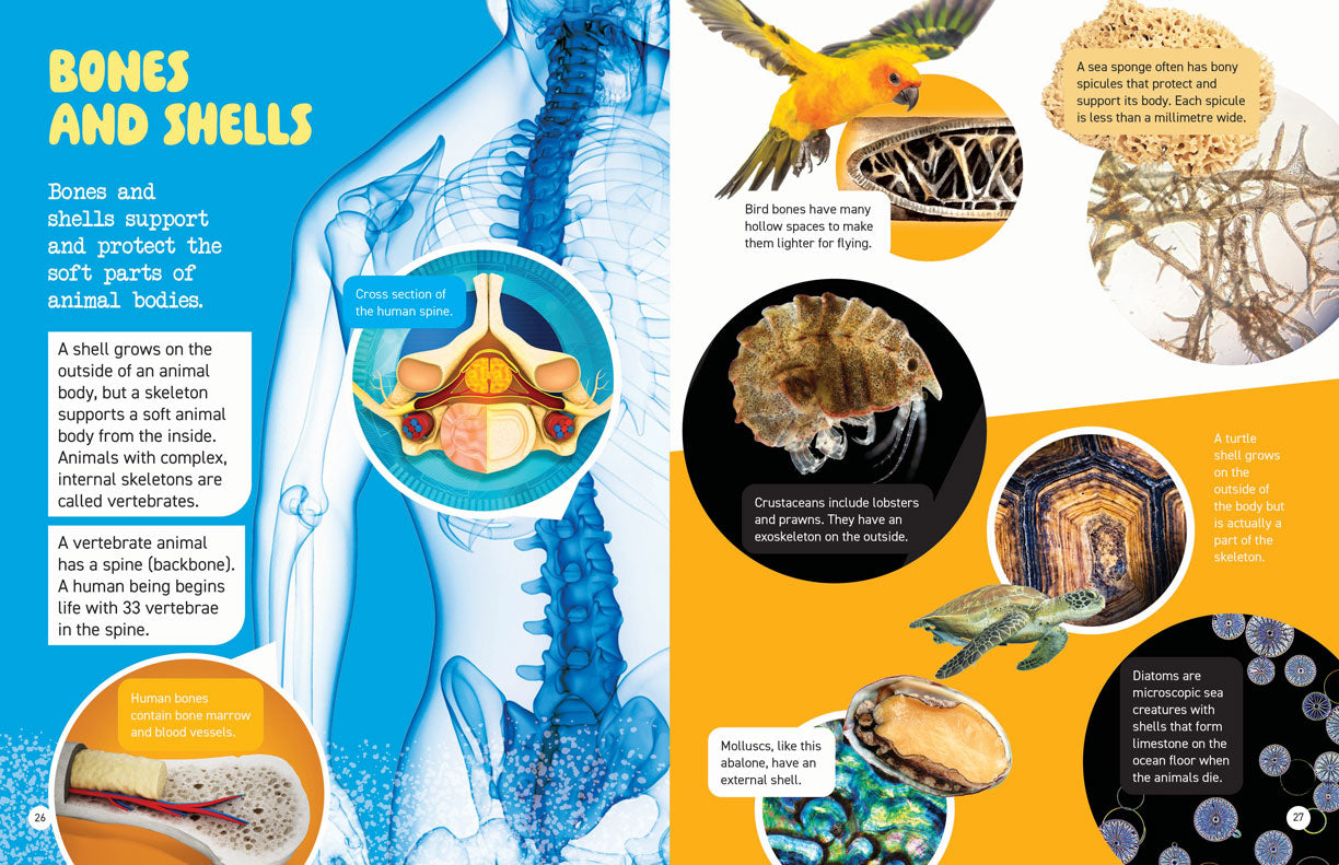 Microscopic and Hidden Life: Hidden Secrets of Animals