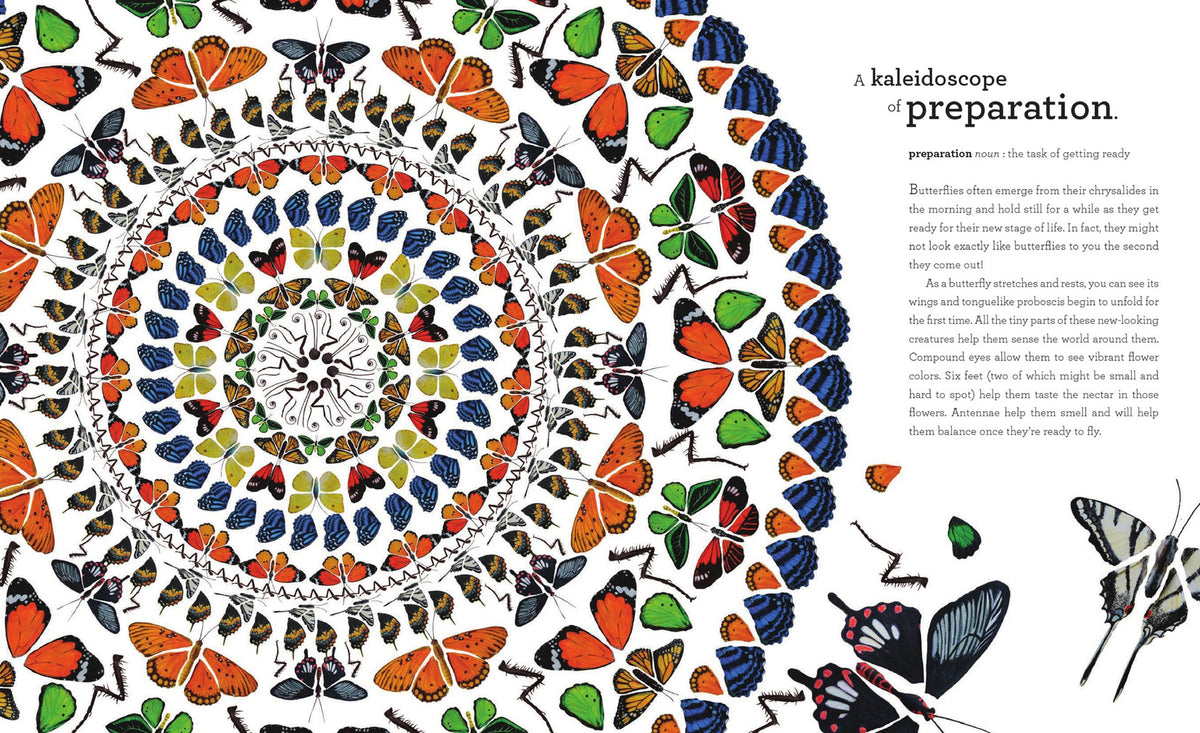Kaleidoscope of Hope: How Butterfly Life Cycles Reflect Our World