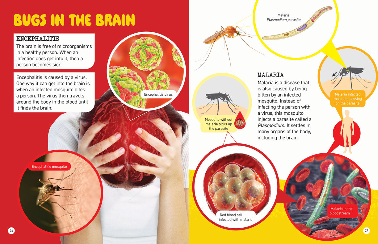 Microscopic and Hidden Life: Invaders in the Human Body