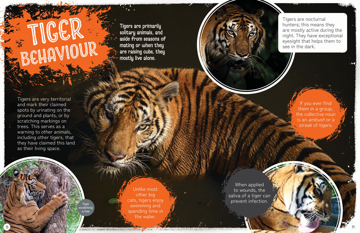 Remarkable Wildlife: Tiger