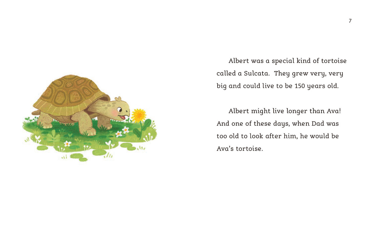 The Runaway Tortoise