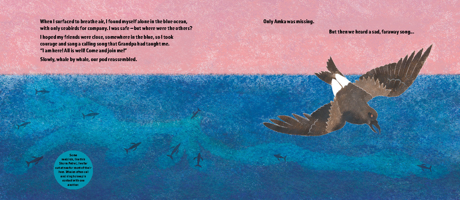 The Brave Little Whale