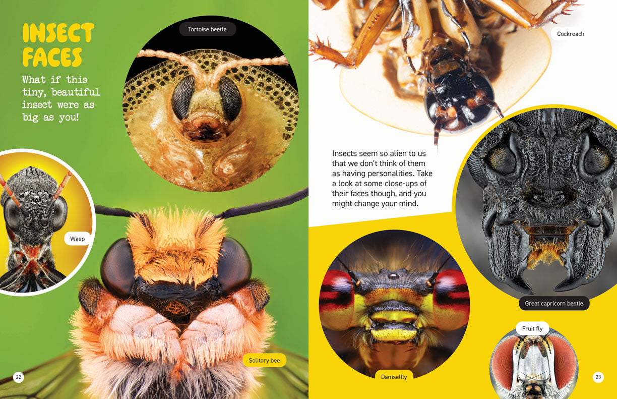 Microscopic and Hidden Life: Micro Monsters Everywhere!