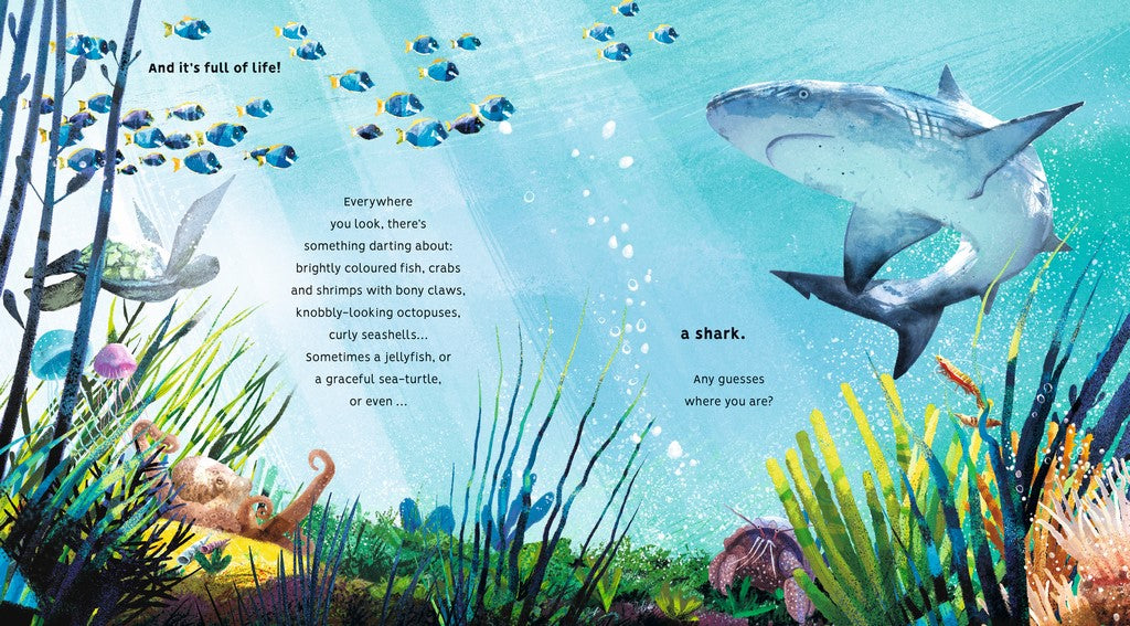 Protecting the Planet: Creatures of the Coral Reef