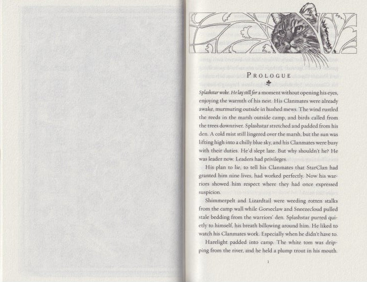 Warriors 6: A Starless Clan - Star