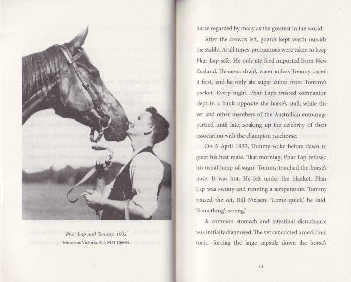 The Wonder Horse