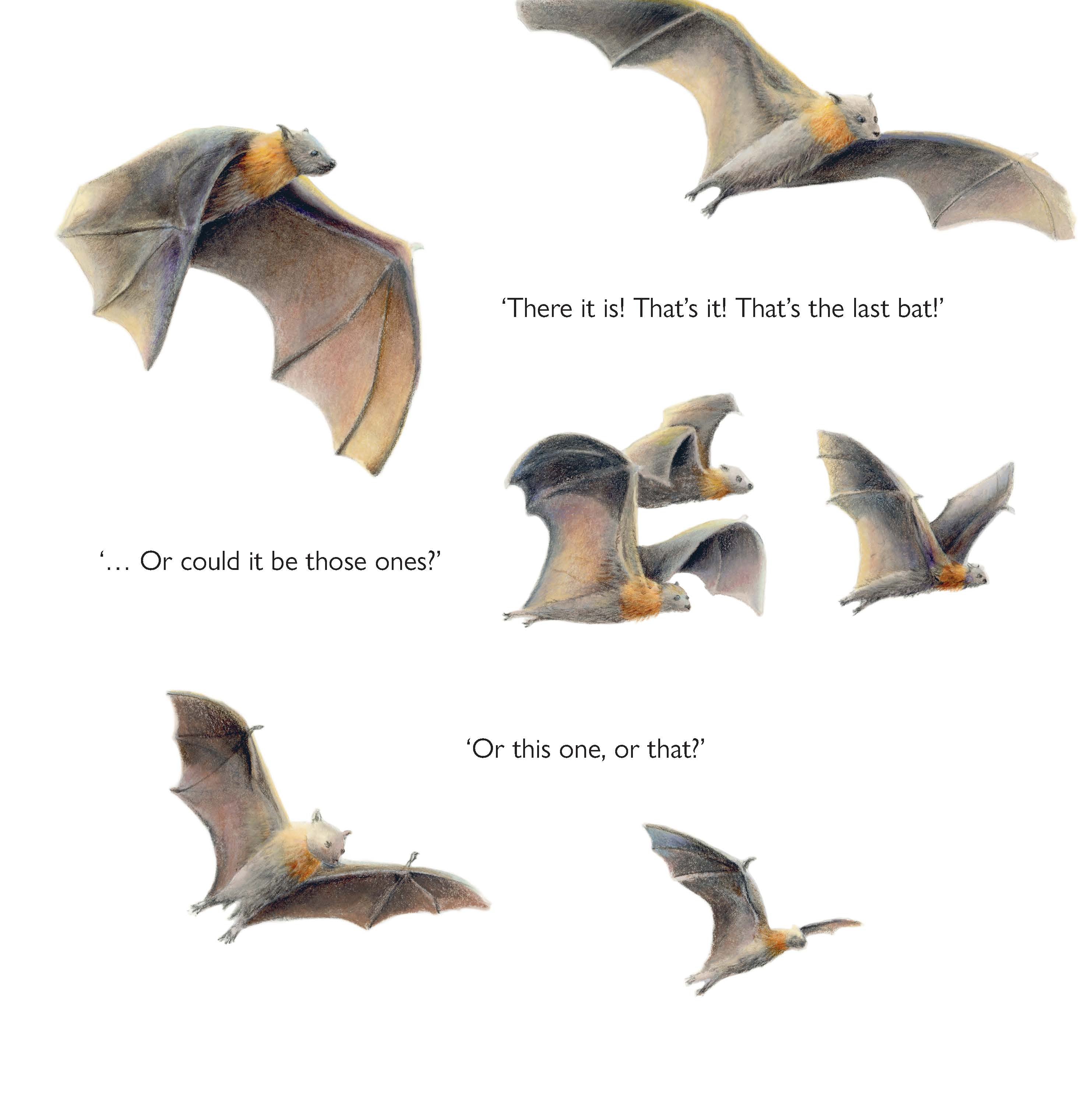 Last Bat of the Night