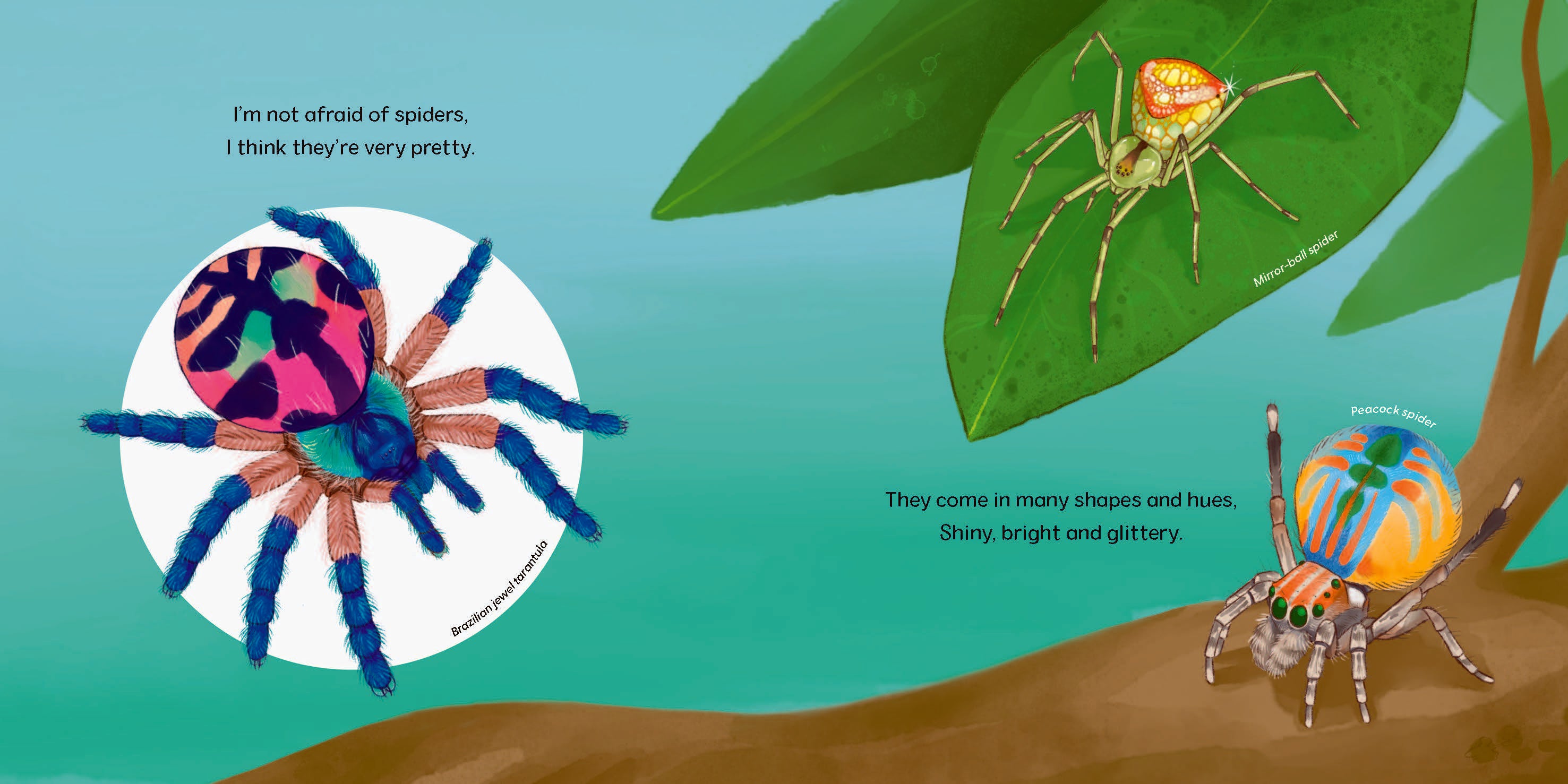 I'm Not Afraid of Spiders