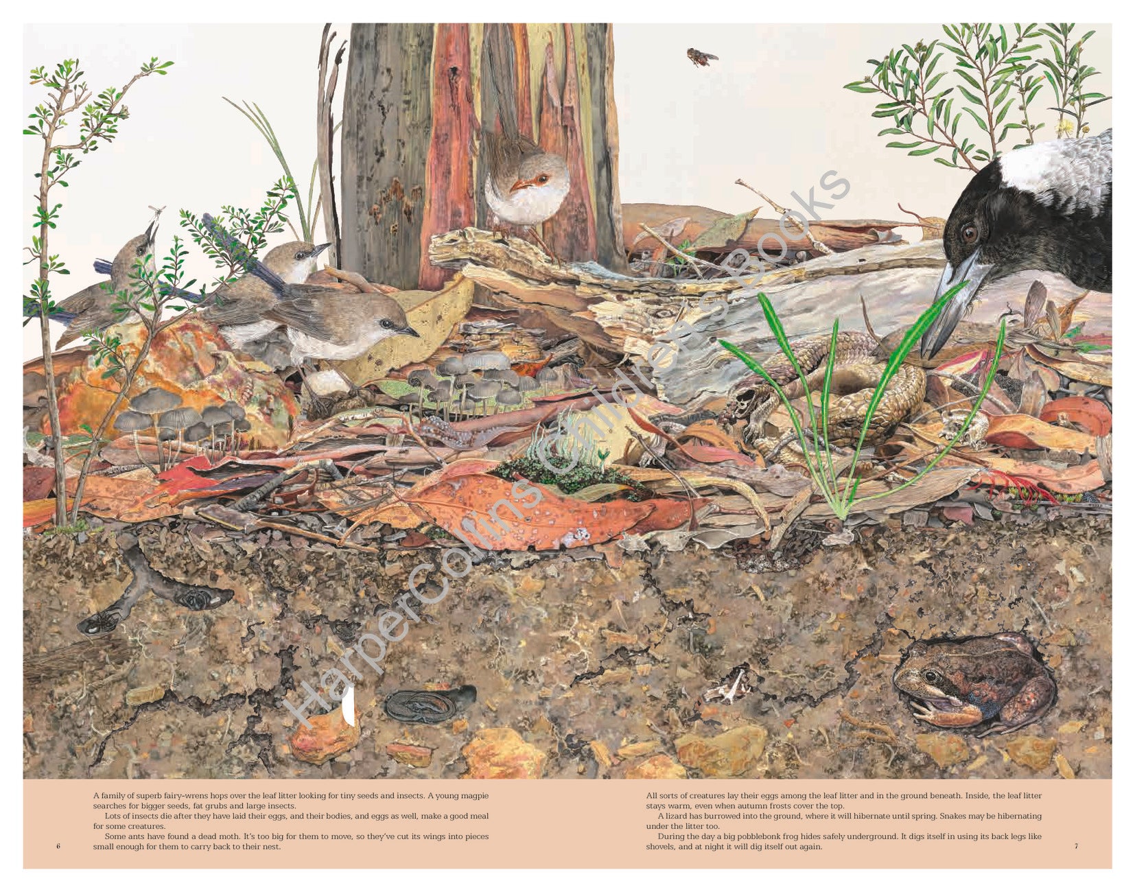 Leaf Litter 20th Anniversary Edition