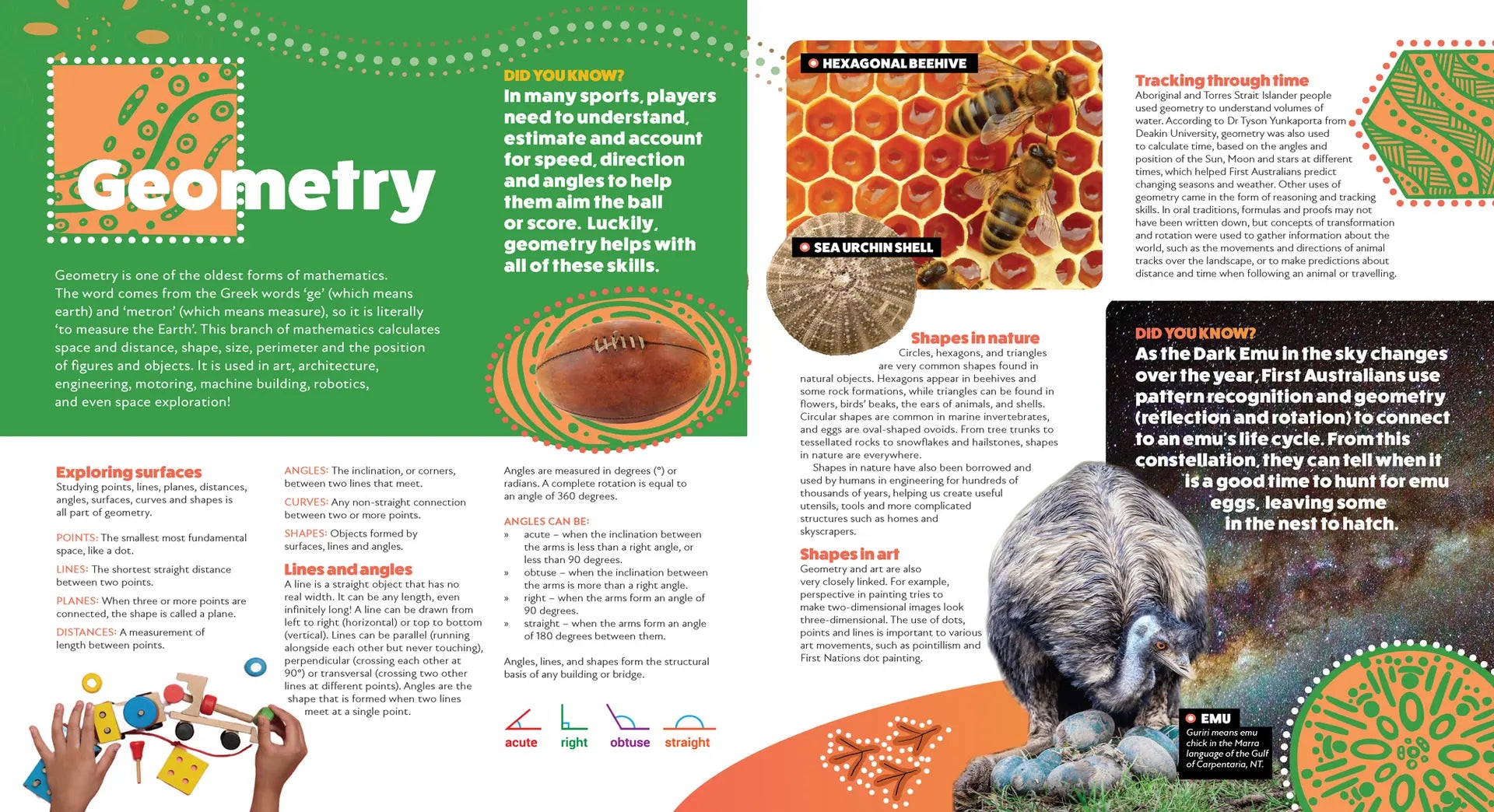 Deadly Science: Numbers in Nature
