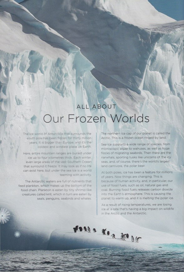 Our Planet