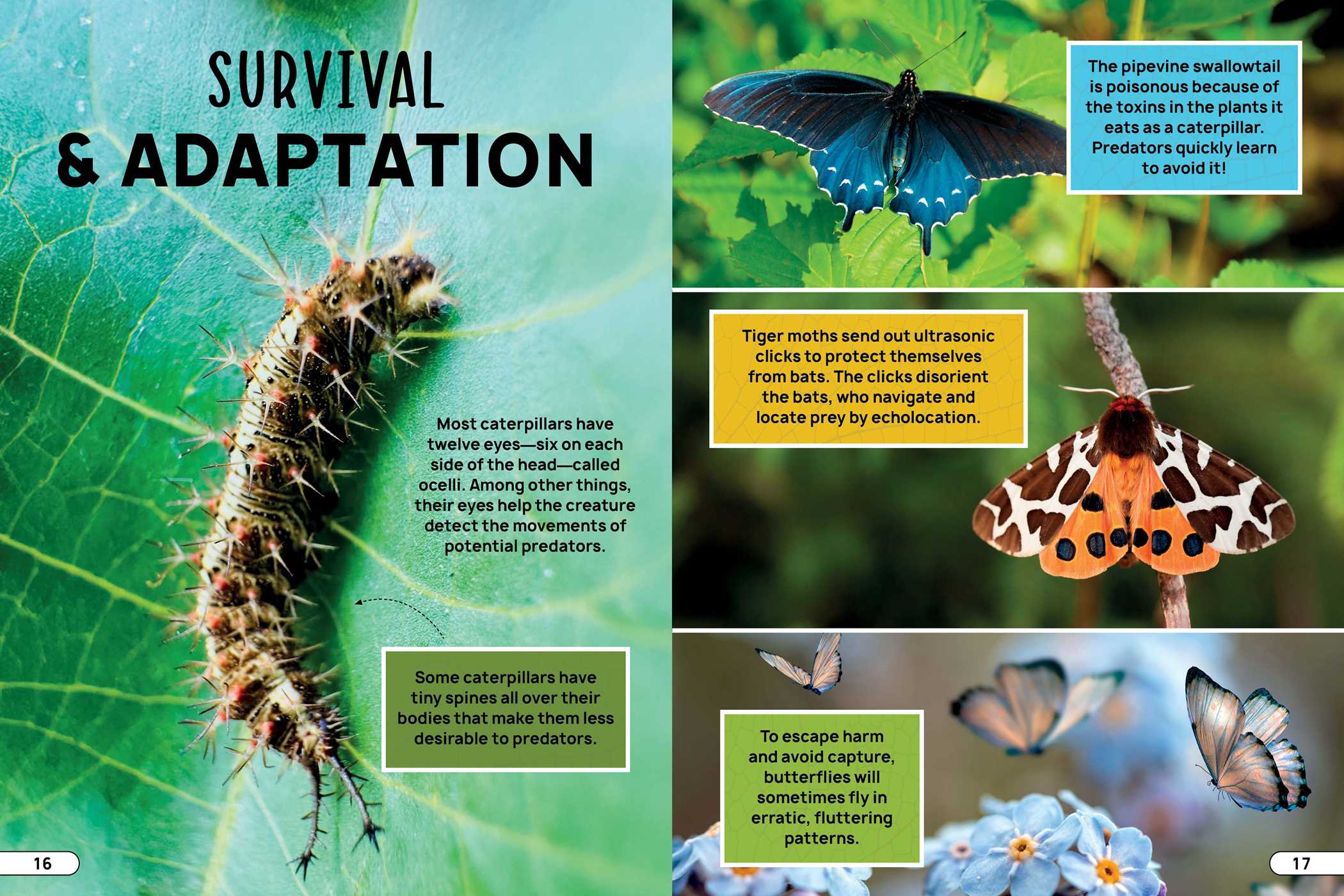 Smithsonian Explores: Bugs and Insects