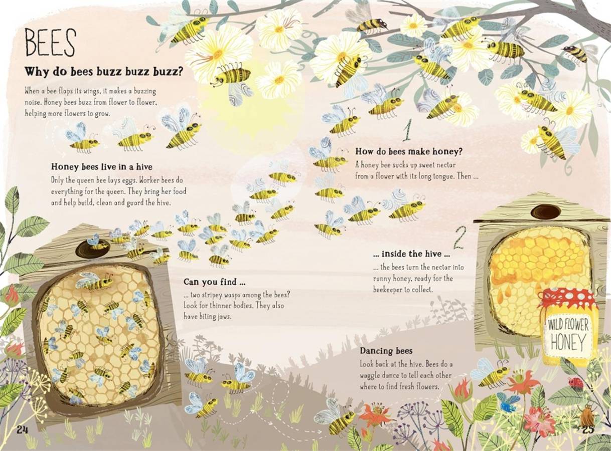 The Big Book of Bugs: 10th Anniversary Edition