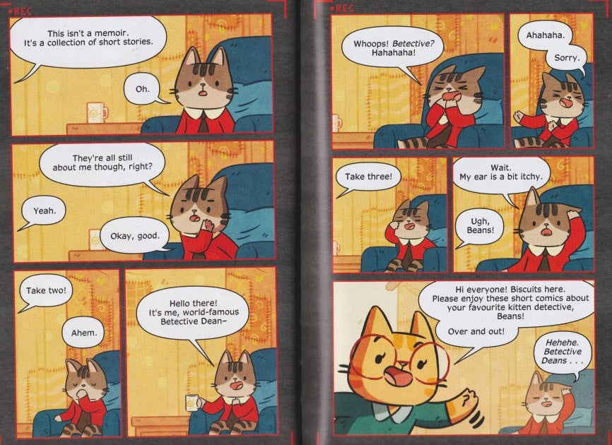 Detective Beans: Adventures in Cat Town