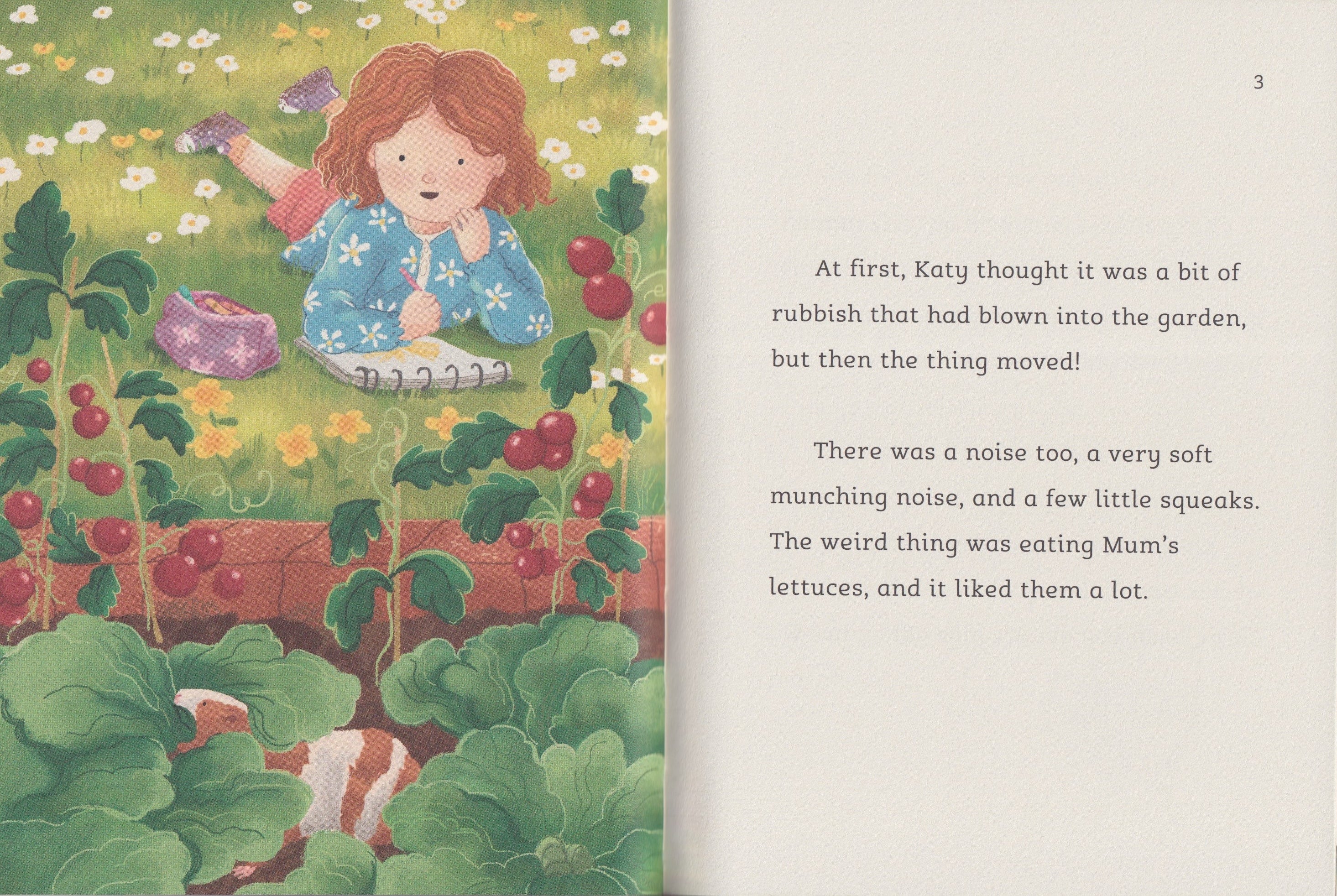 The Guinea Pig Party (Dyslexia-friendly)