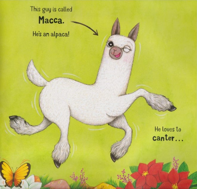 Macca's Christmas Crackers