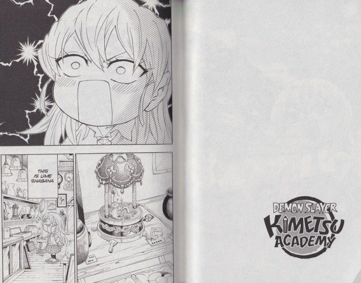 Demon Slayer: Kimetsu Academy, Vol. 6