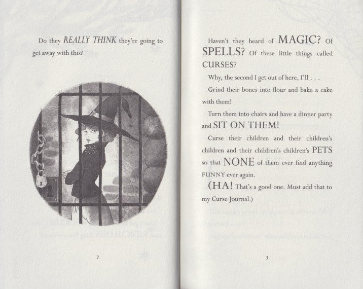 Diary of a Wicked Witch