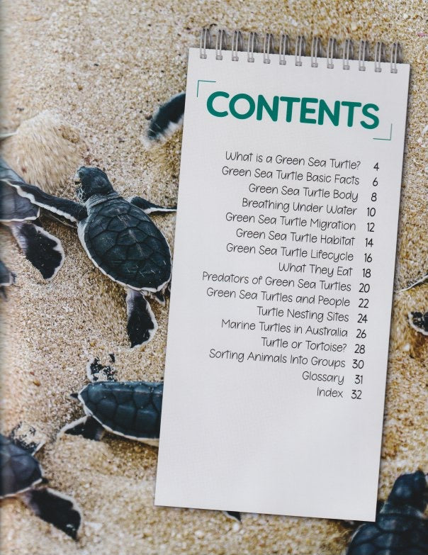 Australia's Remarkable Wildlife: Green Sea Turtle