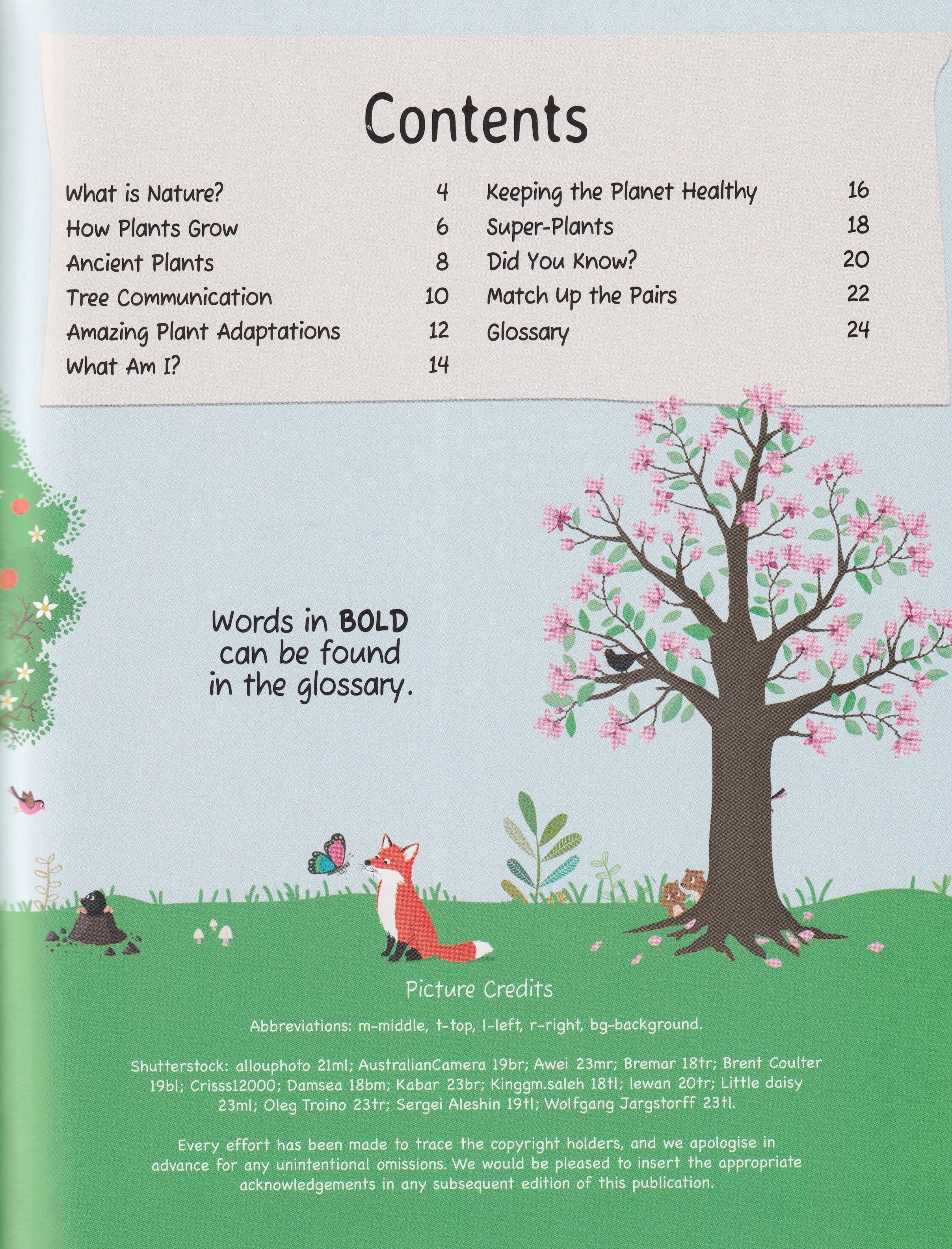 Nature: Trees and Plants