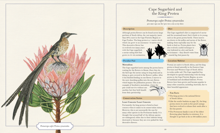 The Illustrated Encyclopaedia of Peculiar Pairs in Nature