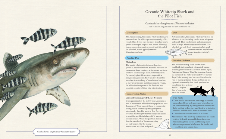 The Illustrated Encyclopaedia of Peculiar Pairs in Nature