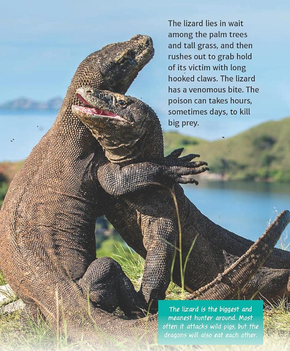 Ultimate Adventure Guides: Komodo Island and Other Places Ruled by Animals