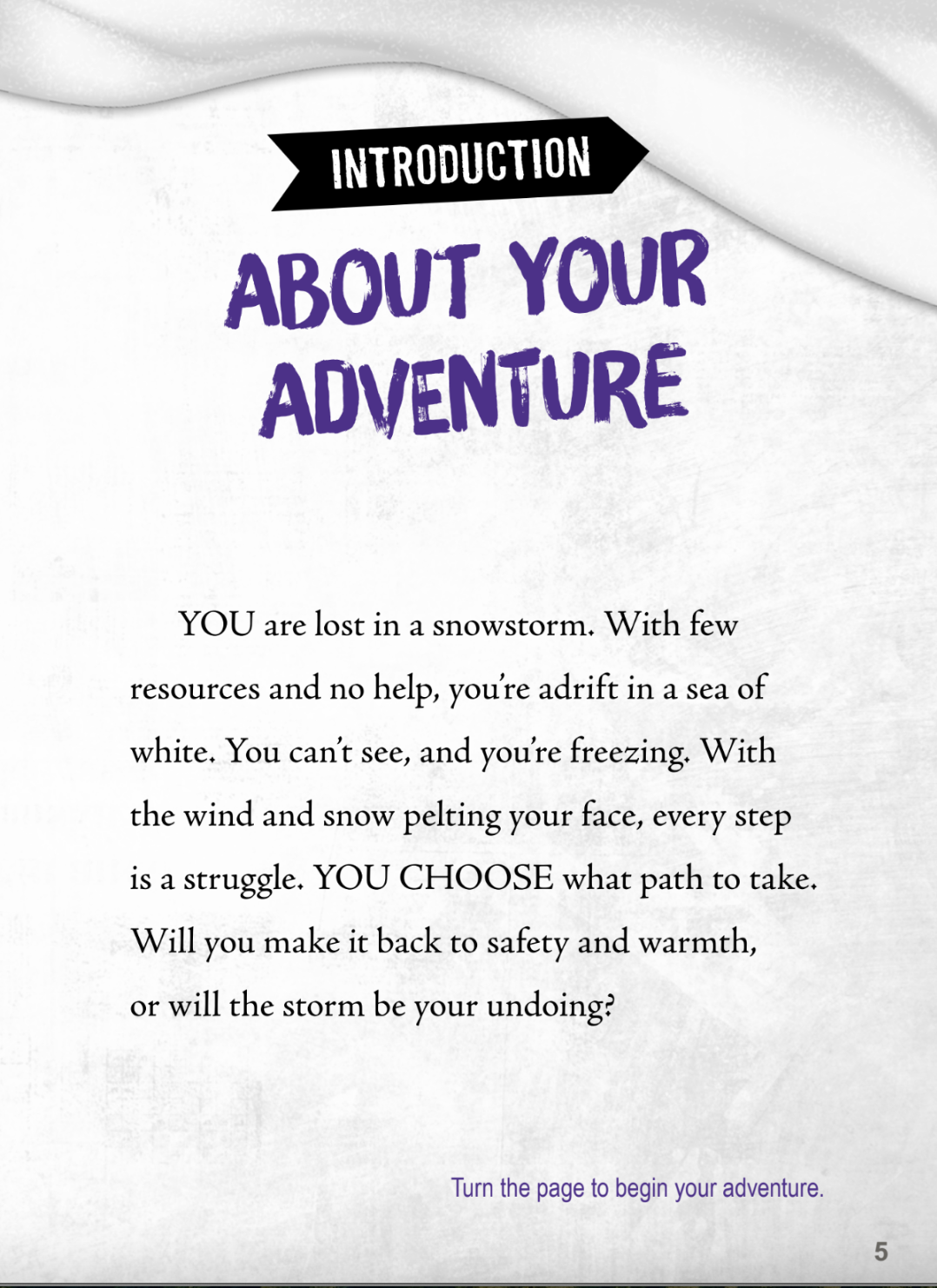 You Choose: Lost!: Life or Death in a Snowstorm