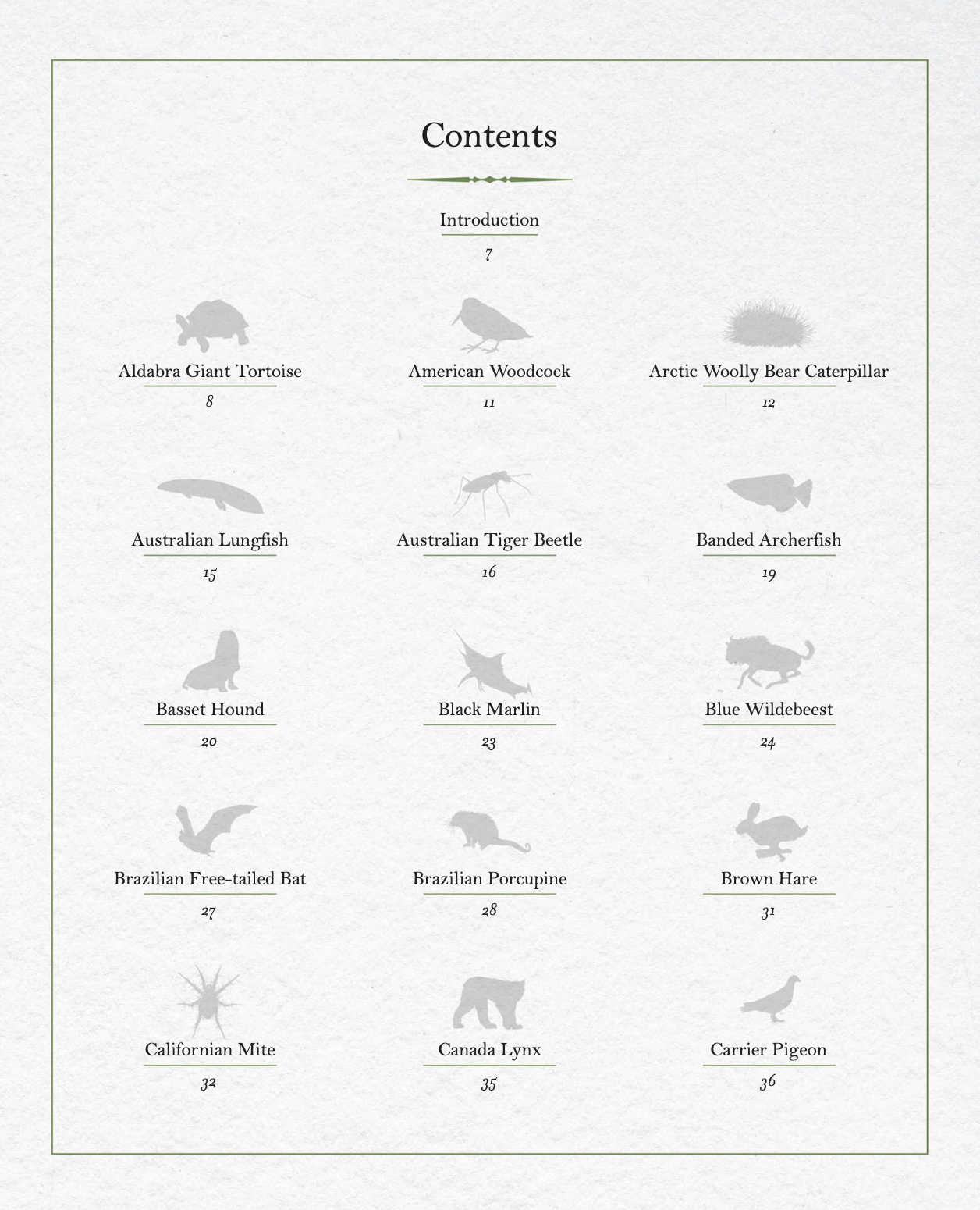 The Illustrated Encyclopaedia of Fast and Slow Animals