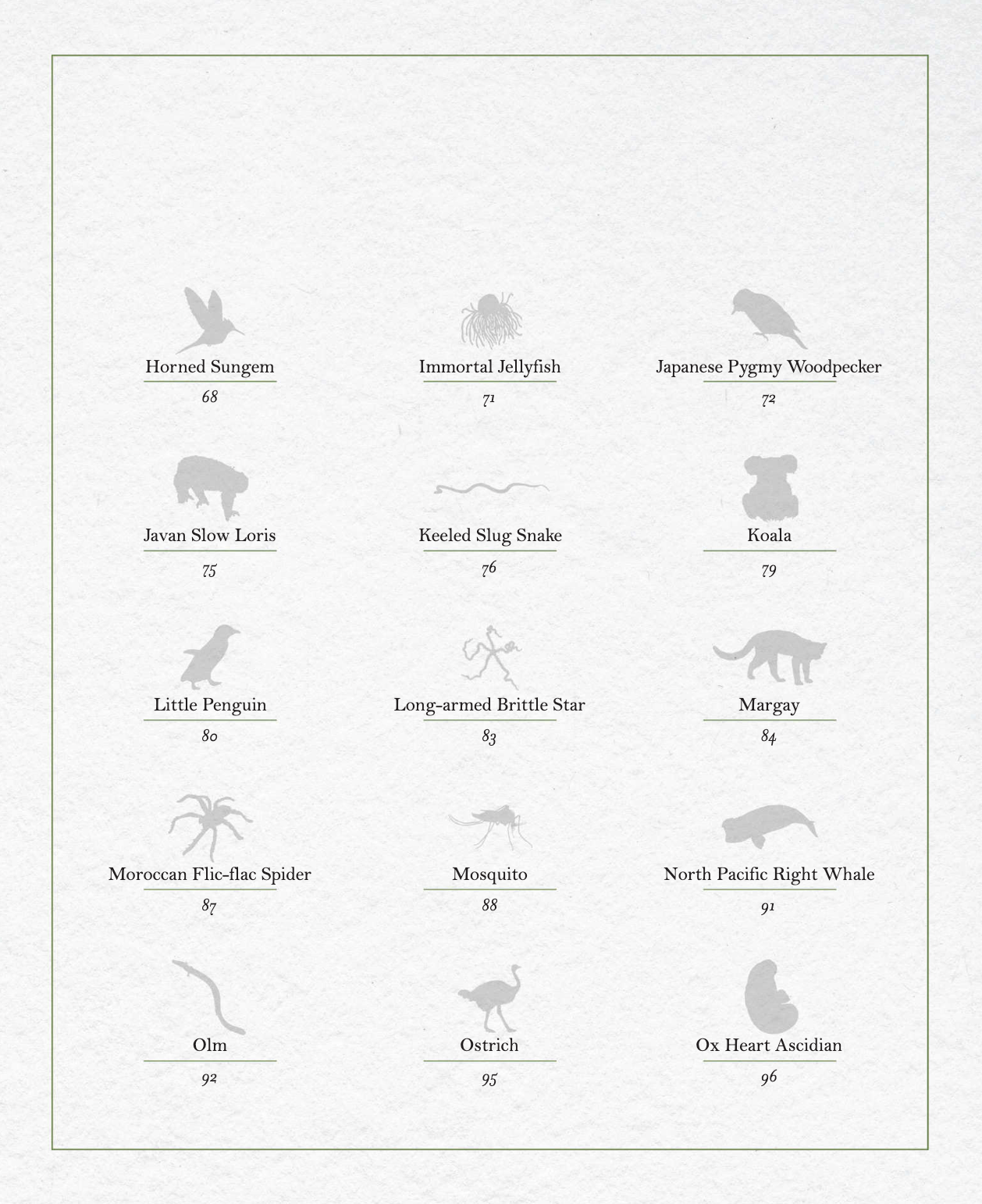 The Illustrated Encyclopaedia of Fast and Slow Animals