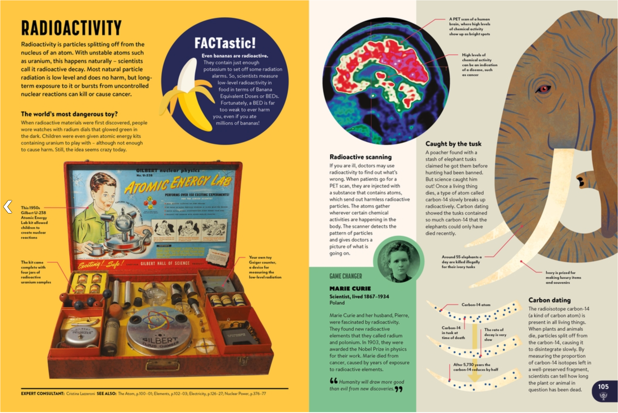 Britannica All New Children's Encyclopedia: What We Know and What We Don't