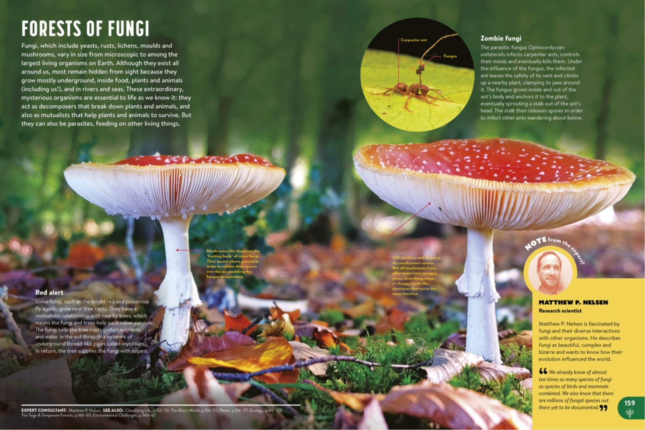 Britannica All New Children's Encyclopedia: What We Know and What We Don't