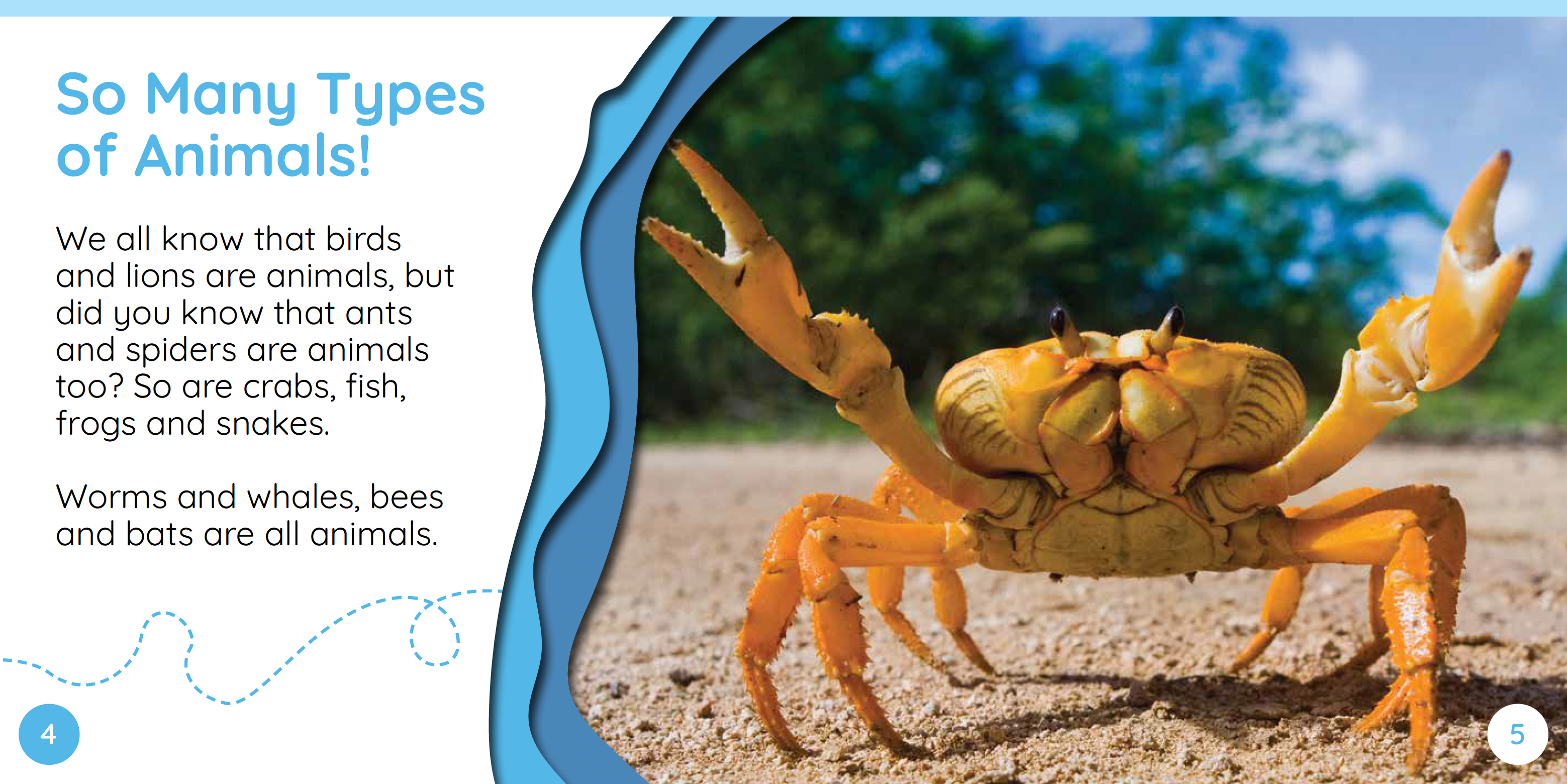 Redback Phonics Readers: Science Pack (20 Books)