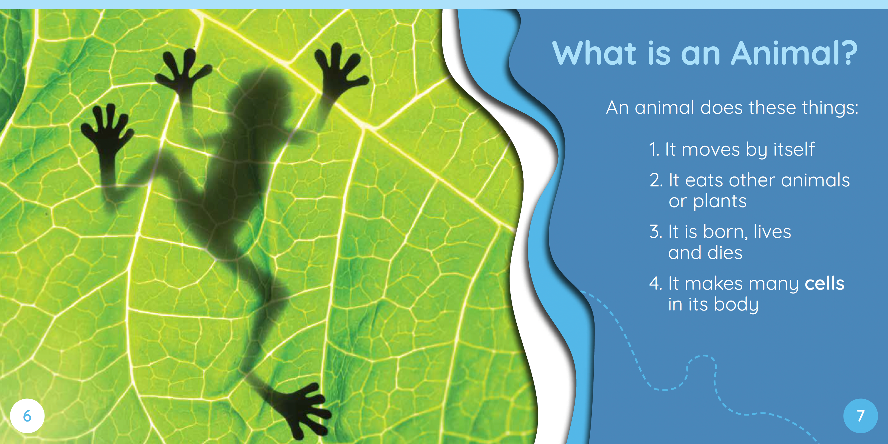 Redback Phonics Readers: Geography Pack (23 Books)