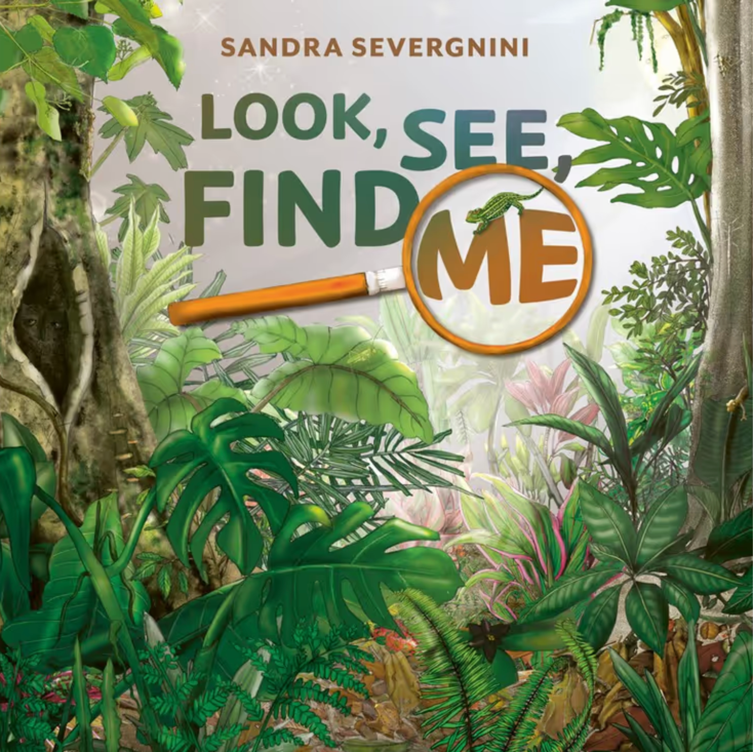 Look, See, Find Me
