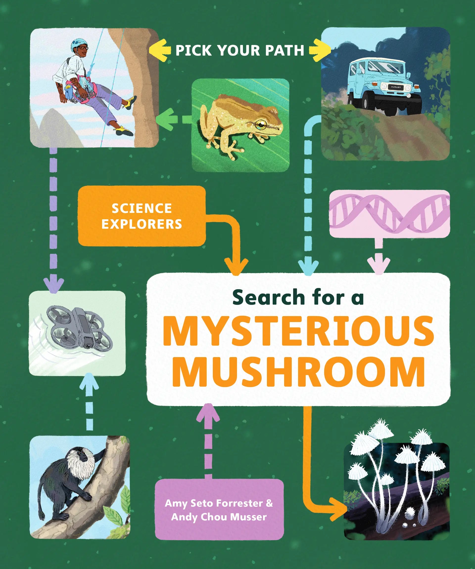 Pick Your Path: Search for a Mysterious Mushroom