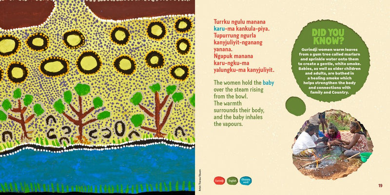 Tamarra A Story of Termites on Gurindji Country