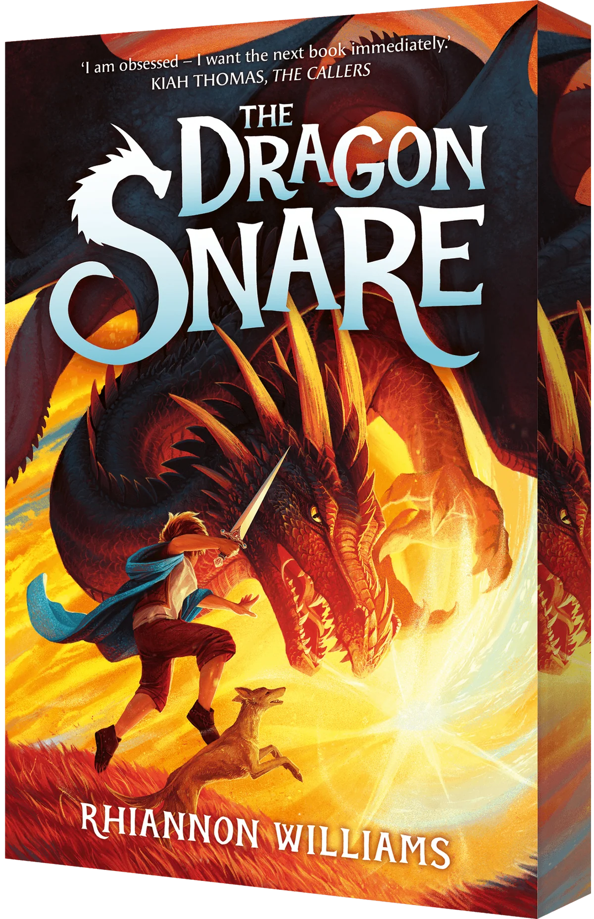 Middle Grade Fiction Variety Pack (35 titles)