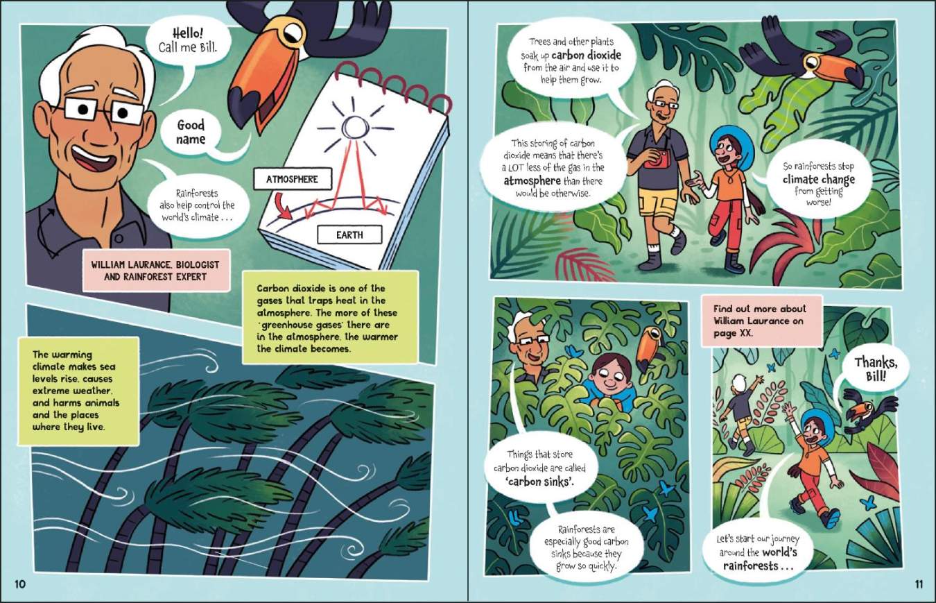 The Fact-Finders Rainforest