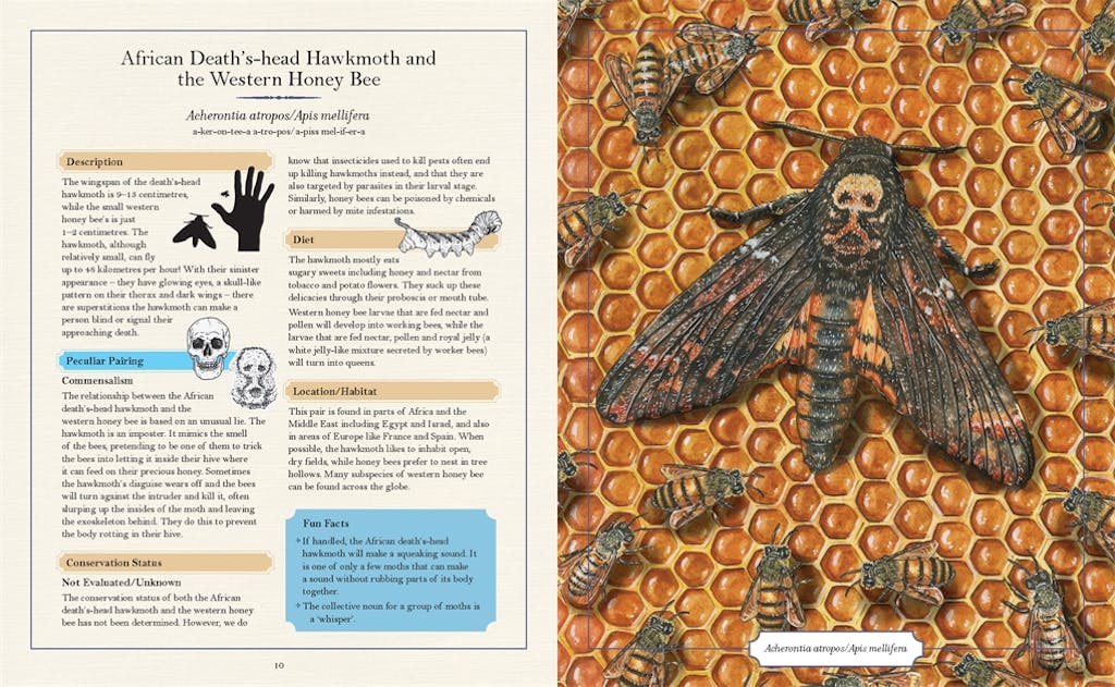 The Illustrated Encyclopaedia of Peculiar Pairs in Nature