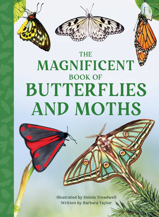 The Magnificent Book of Butterflies & Moths