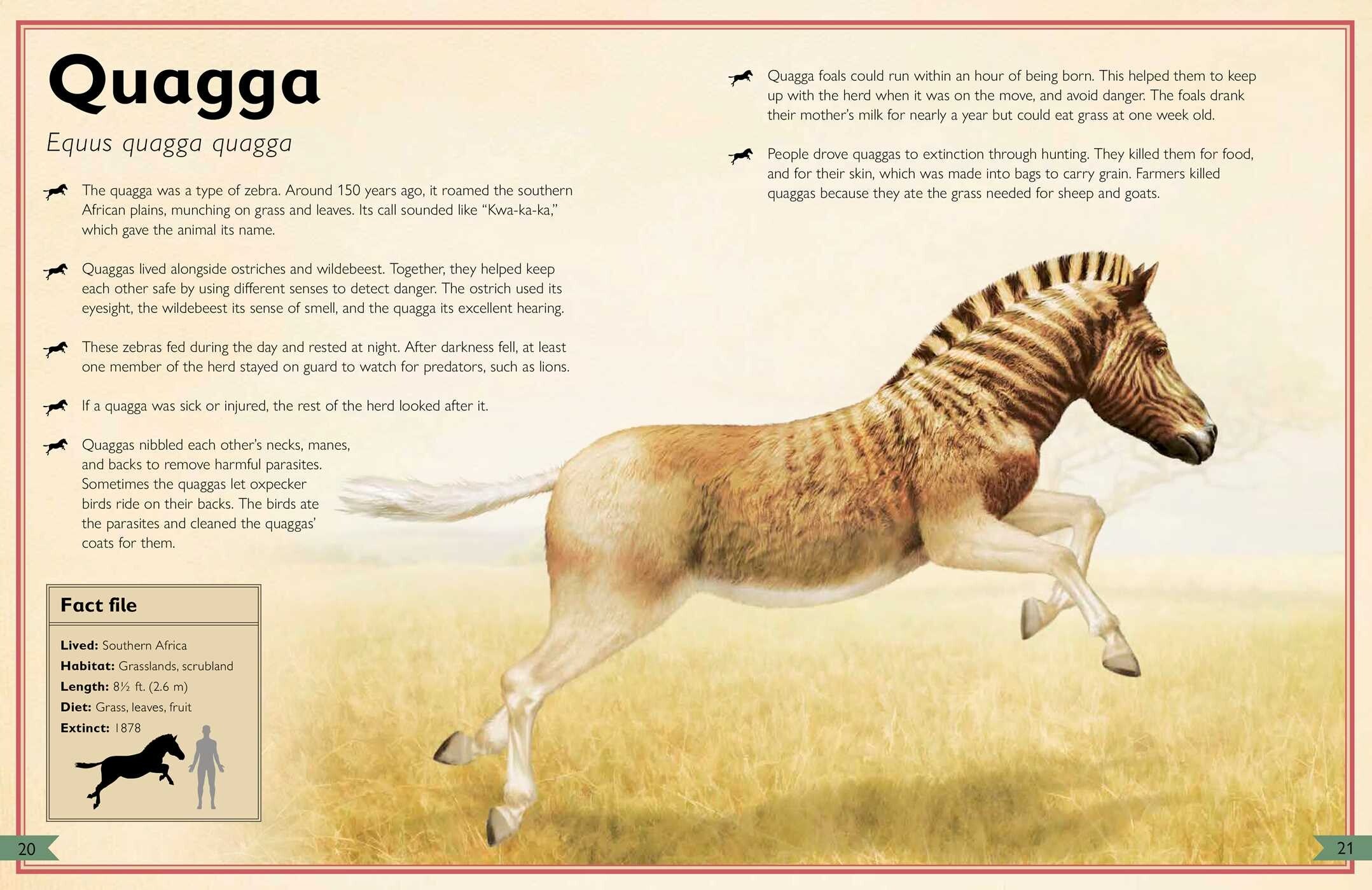 The Magnificent Book of Extinct Animals