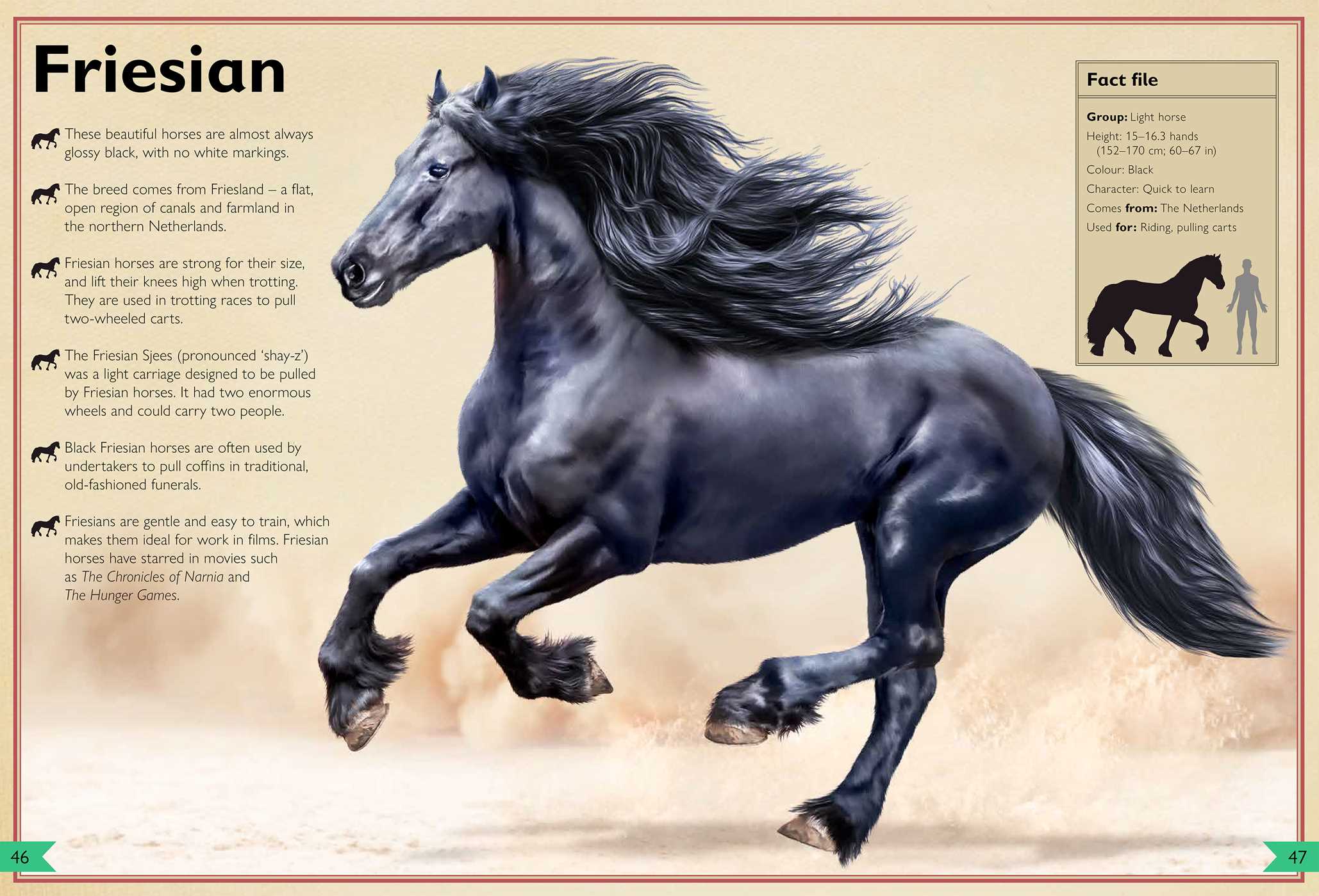 The Magnificent Book of Horses