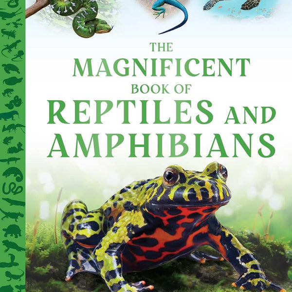 The Magnificent Book of Reptiles and Amphibians