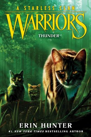 Warriors A Starless Clan 4 - Thunder