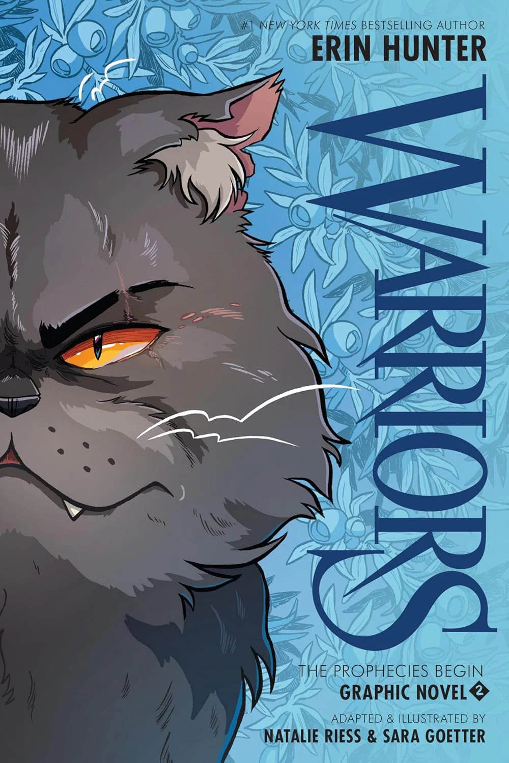 Graphic Novel Variety Pack (30 titles)