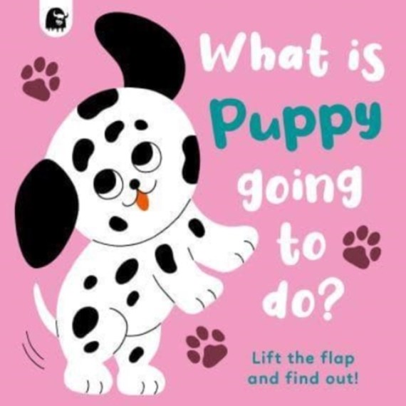 What Is Puppy Going To Do? (Lift The Flap) Board Book
