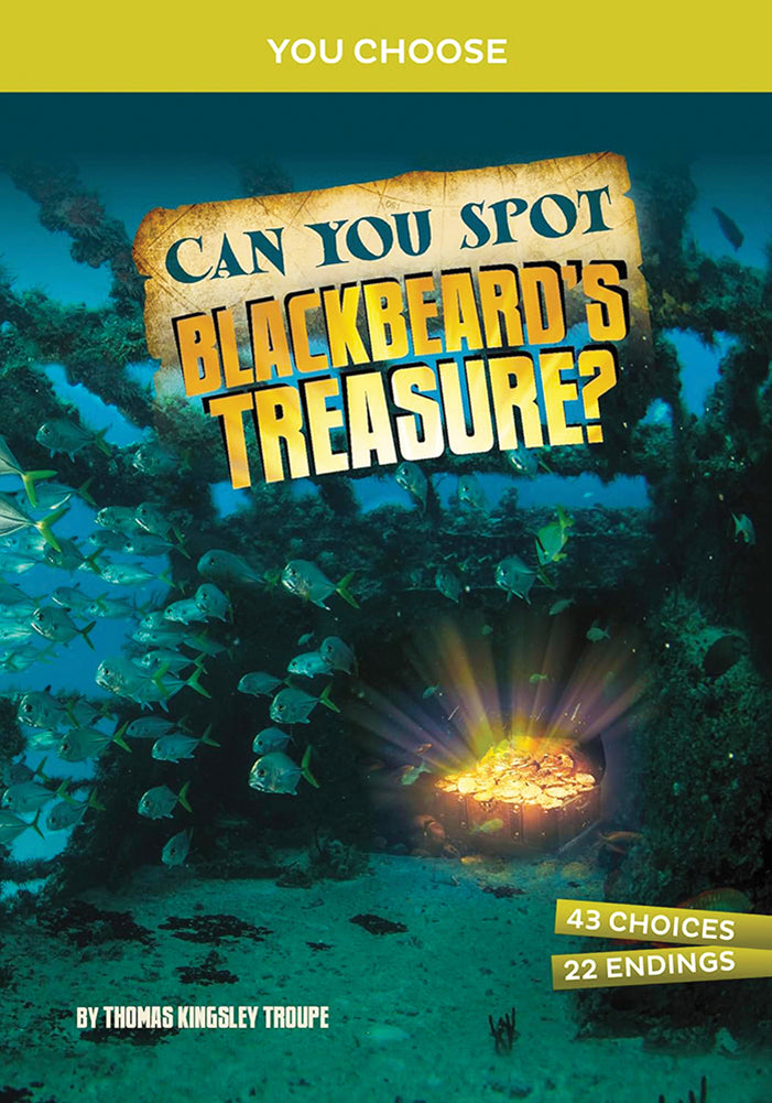 You Choose - Treasure Hunters: Can You Spot Blackbeard's Treasure