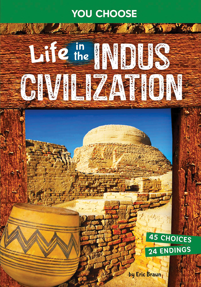 You Choose Ancient Civilizations: Life in the Indus Civilizations